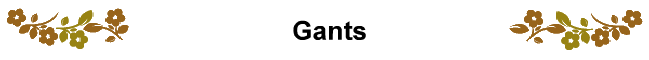 Gants