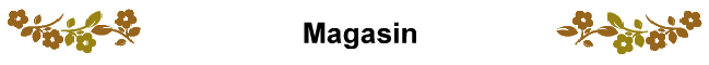 Magasin
